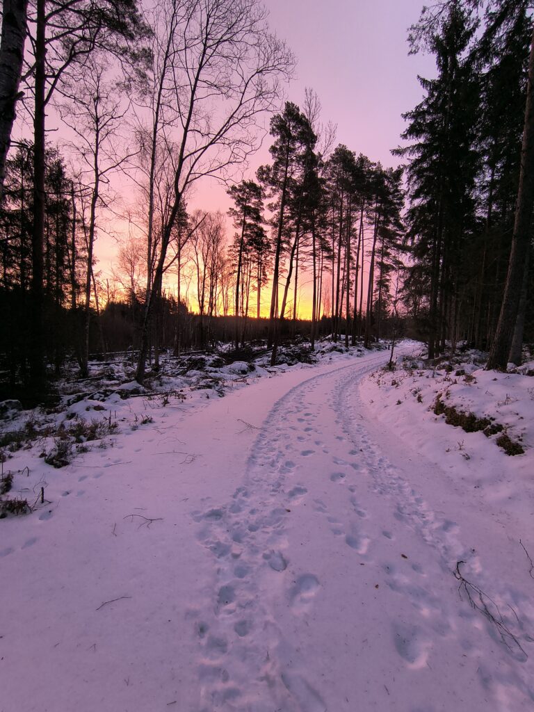IMG_20260222_070611711_HDR