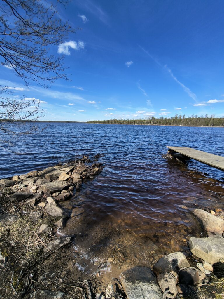 IMG_20260429_141909895_HDR